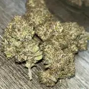 StrawBerry Gorilla