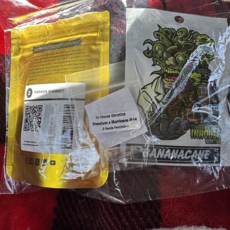 Upcoming indoor grow 2026 hang tight!