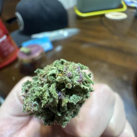 Organic Papaya Sherbet