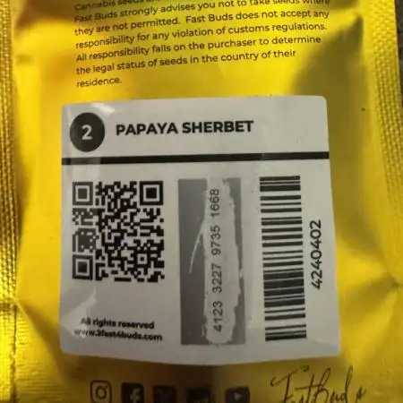 Organic Papaya Sherbet