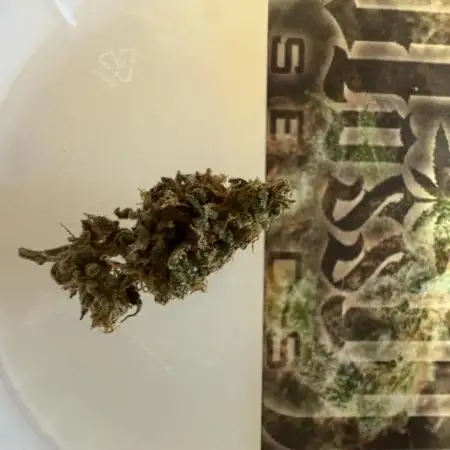 Upcoming 2026 Outdoor grow season!!