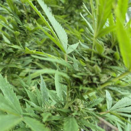 Breaking the ICE First Photo Outdoor run