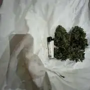 Mix Grow Outdoor