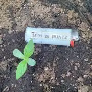 EPICC/CAPTAIN/RUNTZ/FirstTentGrow