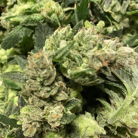 DWC/Candy Jungle Auto