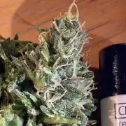 Epsilon- F1 -  auto. Outdoor