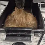 Canuk Seeds - RDWC