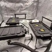 RDWC - Hindu Kush - seed propogation