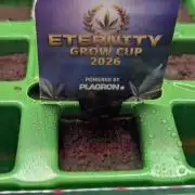 Eternity grow cup 2026