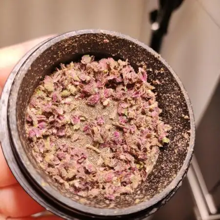 Lemon Cherry Cookies [Automatic]