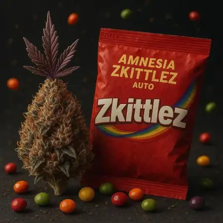 🍓🍊🍋 AMA ZKITTLEZ 💪😱🍌