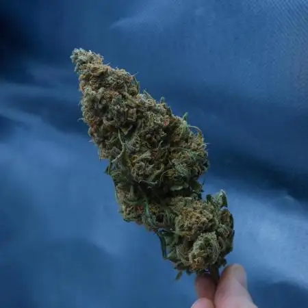 LiL ZKiTTLZz💪😱