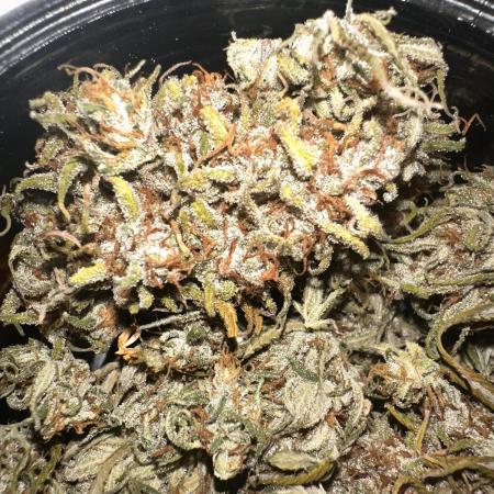 GORILLA COOKIES AUTO