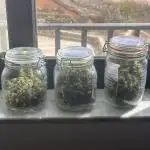 GG#4