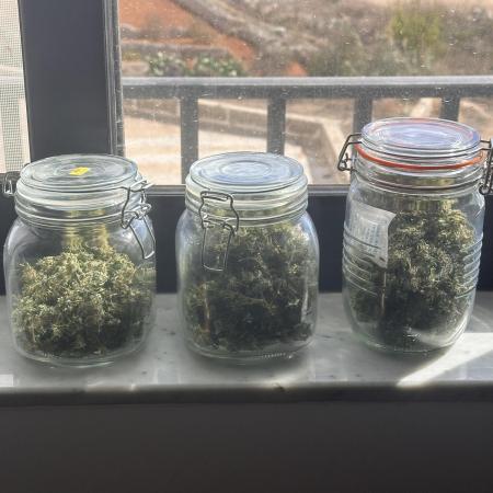 GG#4