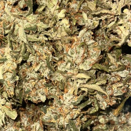 GELATO AUTO