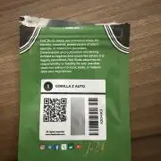 GORILLA Z Inside the tent