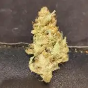 SuperBoof & Apolo Haze