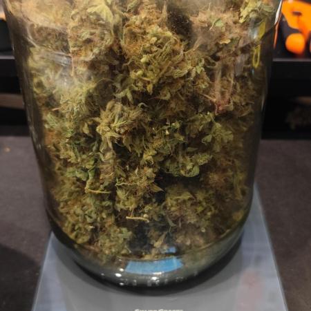 tropicana cookies fast buds