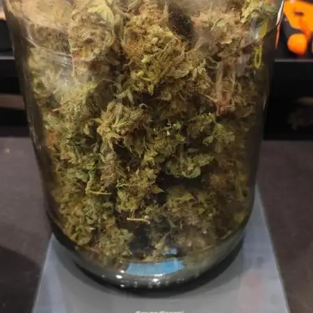 tropicana cookies fast buds