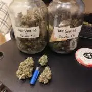 4/20 grow