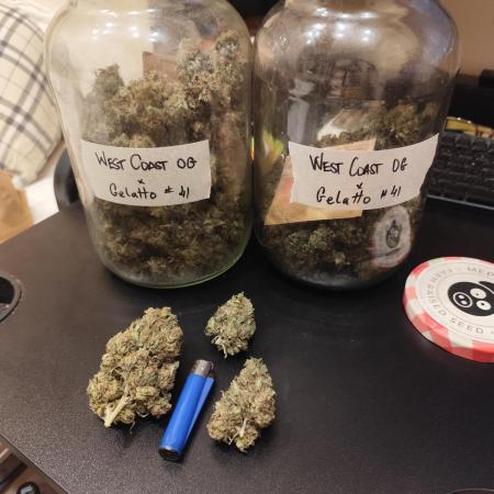4/20 grow