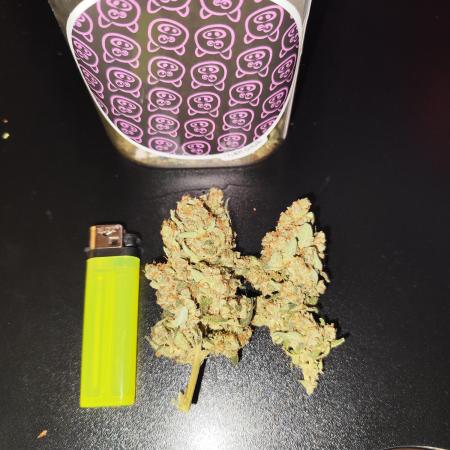 4/20 grow