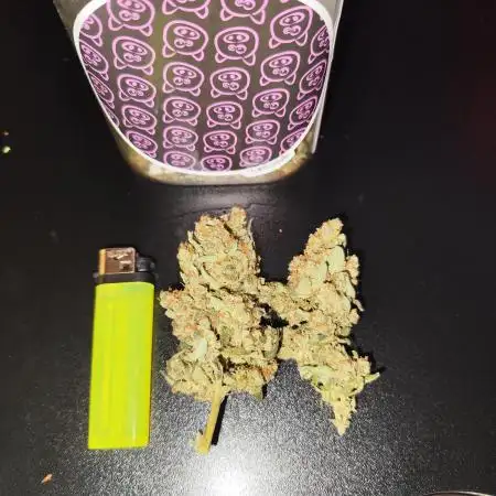 4/20 grow
