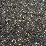 Bruce Banner Auto - Grow #3