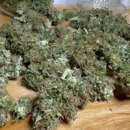 Bruce Banner Auto