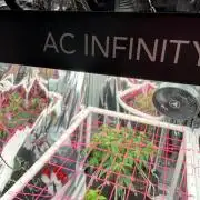 Godzilla Cookies Auto