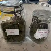 Banana purple punch & Sour jealousy auto