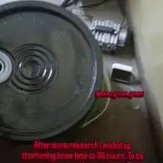 Paradise Pine(Paradise PunchxWTR)