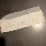 Paradise Pine(WTRxParadise Punch)