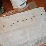 Paradise Pine(WTRxParadise Punch)