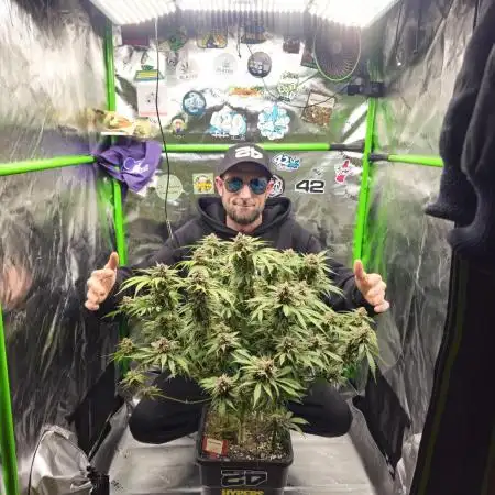 513Grow