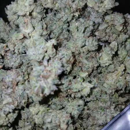 First time w/ Mephisto (Mephisto's Wedding)