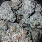 Blue Pie O'z
