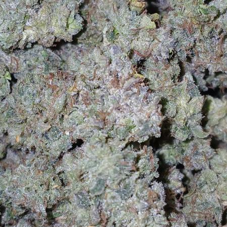 First time w/ Mephisto (Mephisto's Wedding)