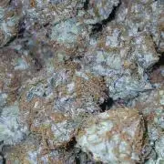 Sundae Thumper - Mephisto