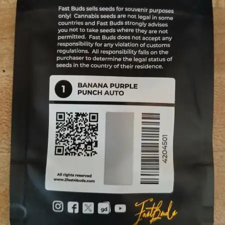 2nd w/ Fast Buds - Banana Purple Punch