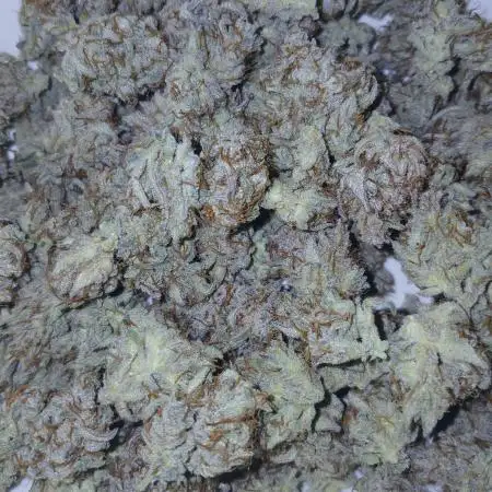 First time w/ Mephisto (Double Grape)