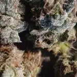 First time w/ Mephisto (Mephisto's Wedding)