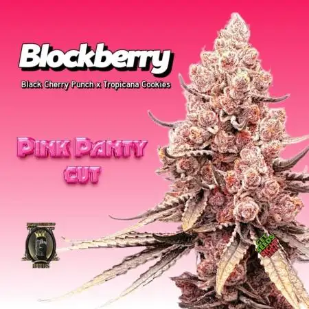 BlockBerry by BlockheadBudz
