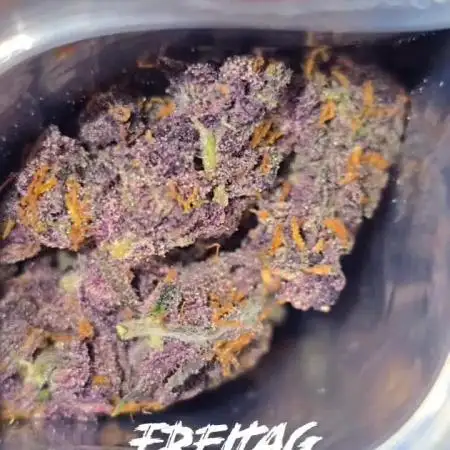 420FastBuds LemonCherryCookiesAuto