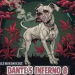 Dantes Inferno#8 MHD-Cut