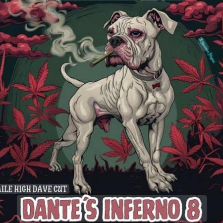 Dantes Inferno#8 MHD-Cut