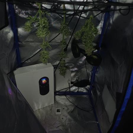Grow no 2. Micro grow