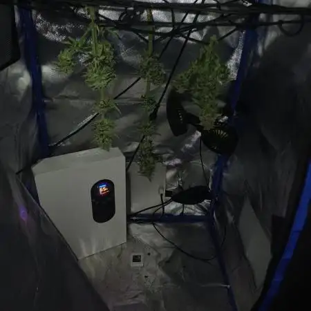 Grow no 2. Micro grow