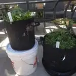 Summer/Fall Outdoor 2025